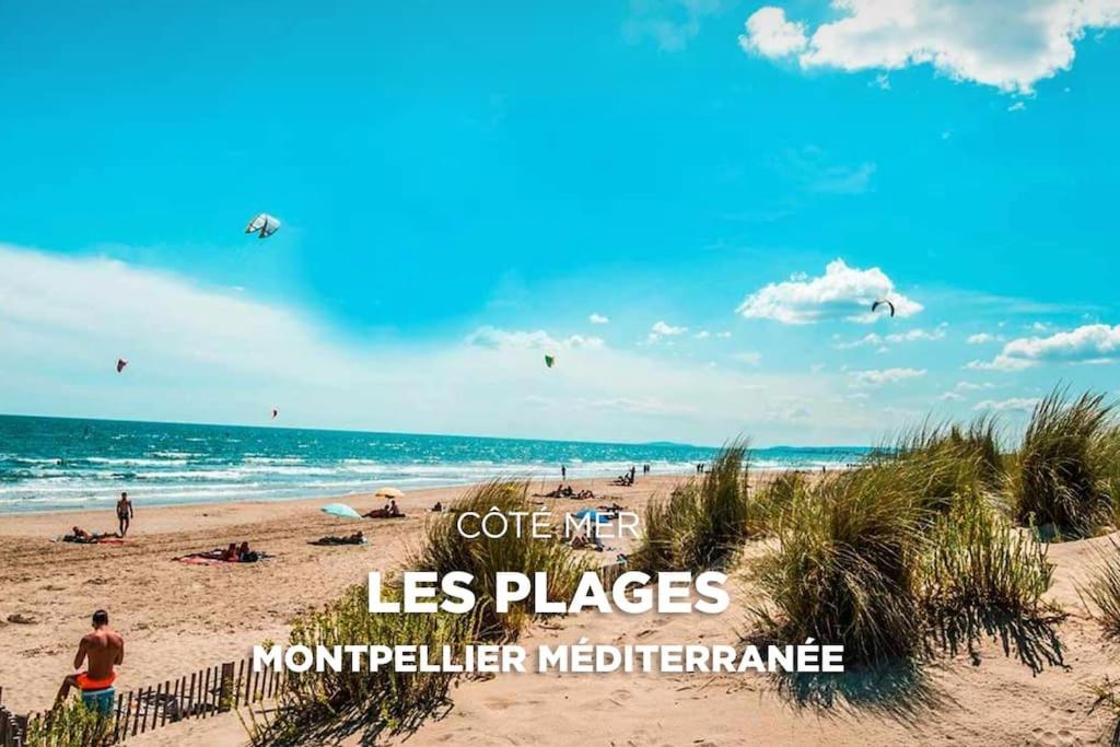 Apartment Between City Center And Beachs مونبيلييه المظهر الخارجي الصورة